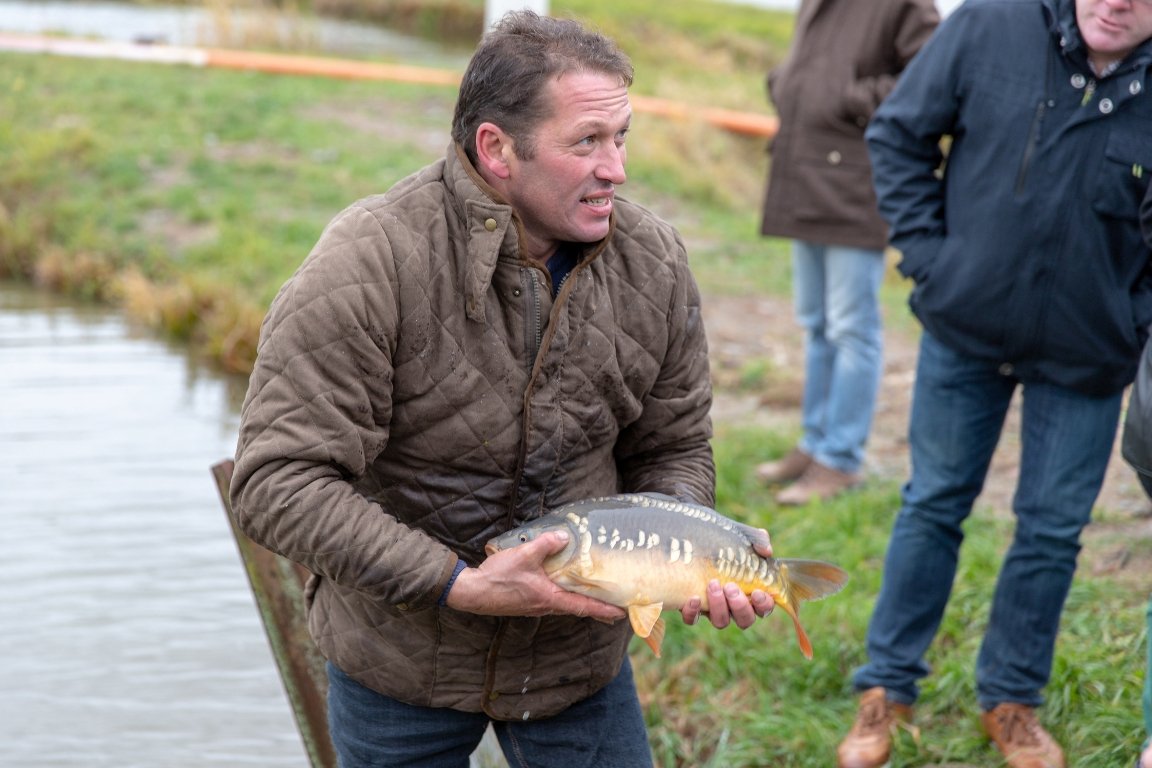 Besseres Image für Karpfen!