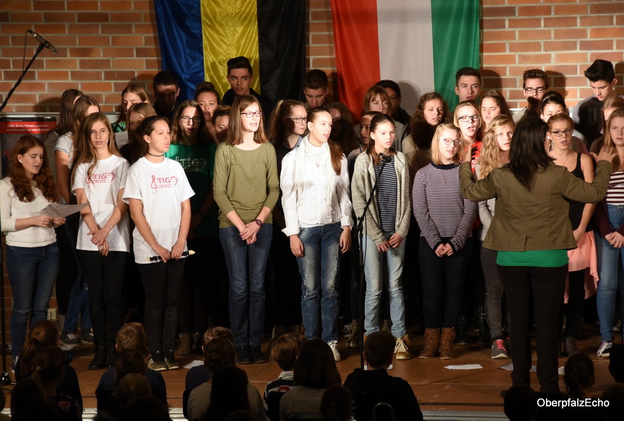 Konzert Török Ignac Gymnasium Neustadt 3