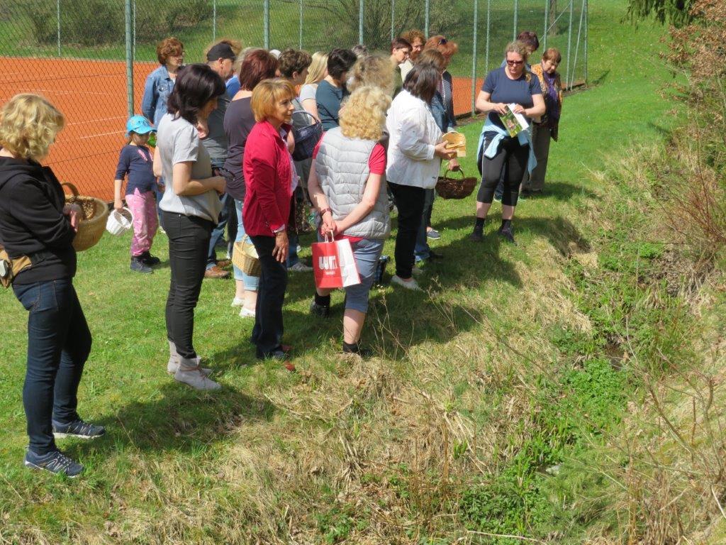 Kräuterwanderung Frauenunion Parkstein (3)