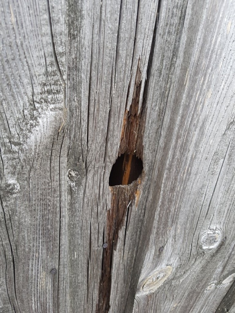 Rauher Kulm Aussichtsturm Renovierung