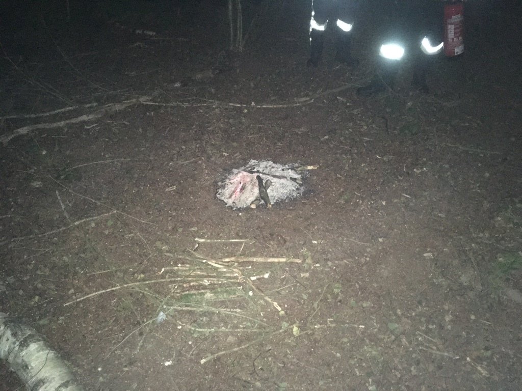 Lagerfeuer mitten im Wald - Polizei ermittelt