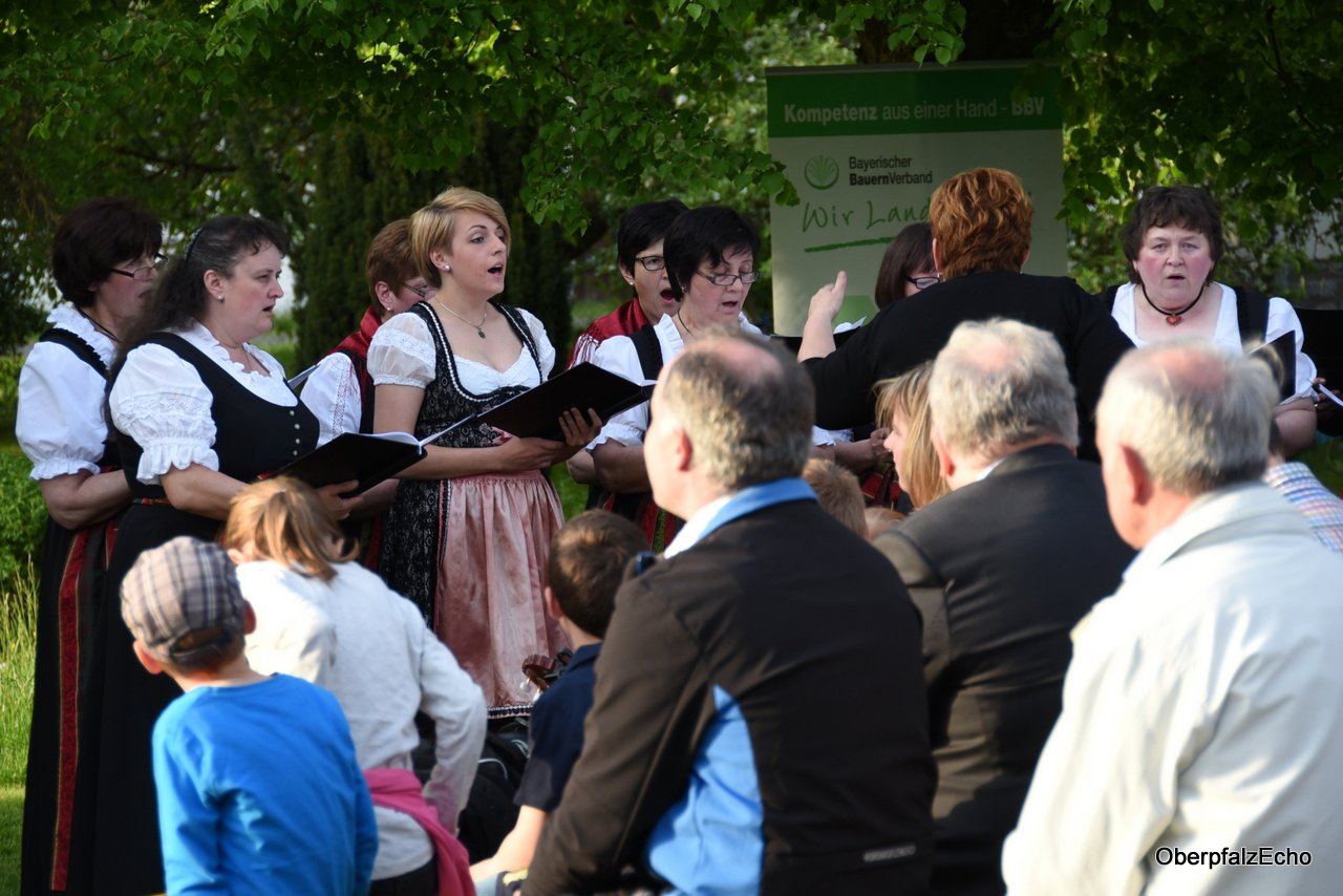 Landfrauenchor BBV (2)