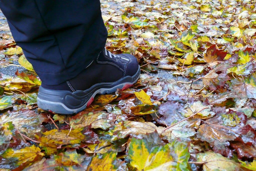 Laub mit Rutschgefahr - Zierock Johannes