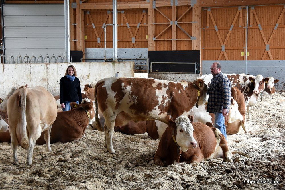 Liegefläche Carolin Weiß Kompoststall