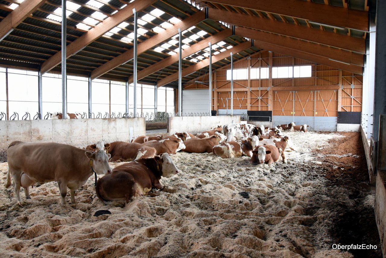 Liegefläche Carolin Weiß Kompoststall