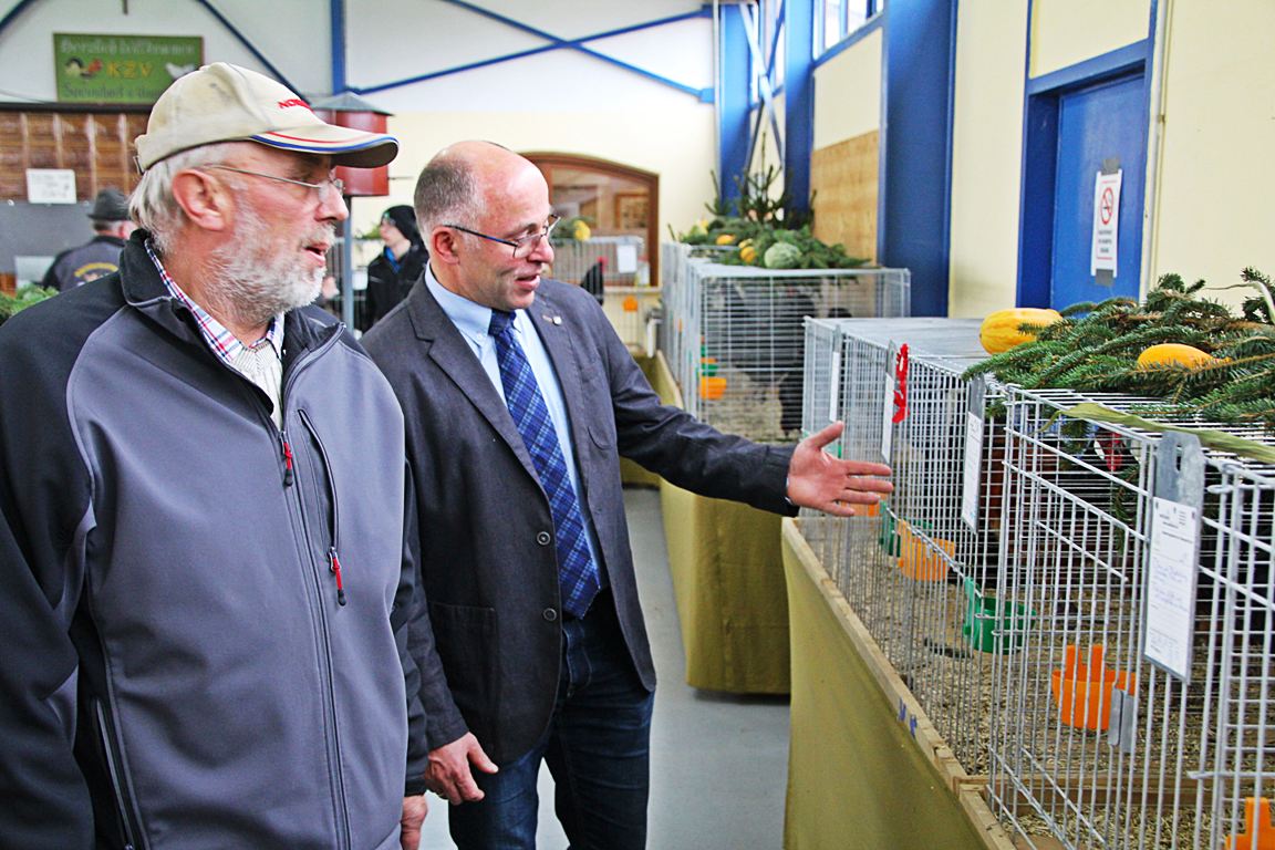 Lokalschau Kleintierzuchtverein (7)