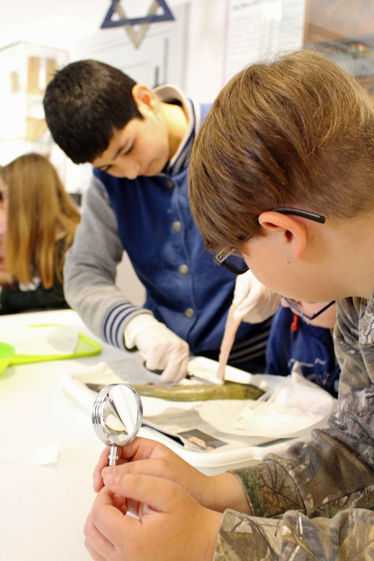 Museums Quartier Schüler Fisch Projekt