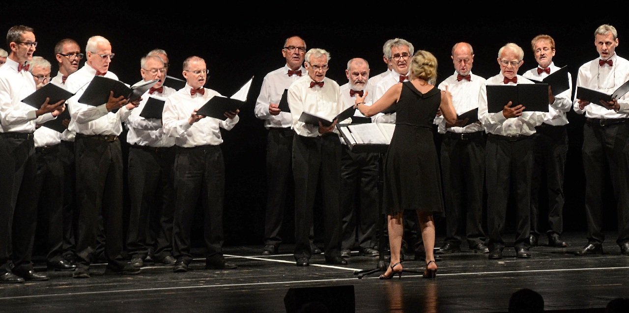 Männerchor aus Parkstein Sommerlichter  2017:  Benefiz-Abend in der Max-Reger-Halle
