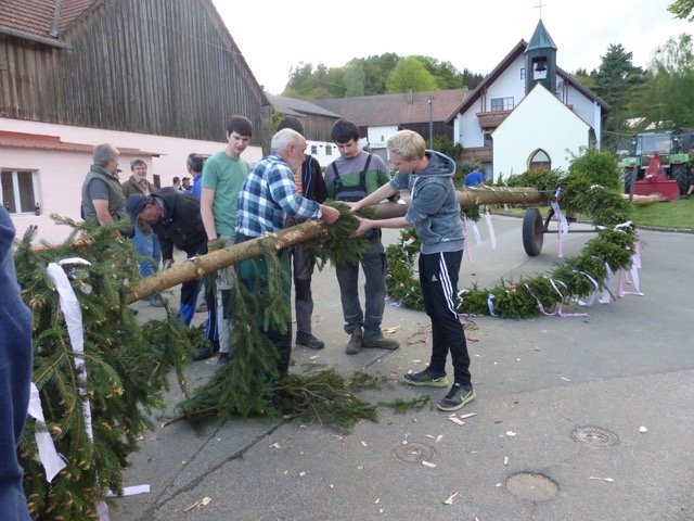Maibaum Preppach Wittschau (4)