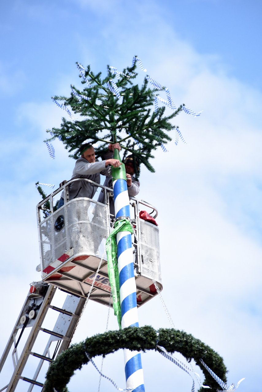 Maibaumfest Neustadt 2018 10