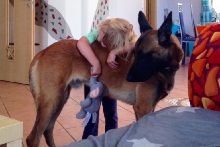 Malinois Unix - von Tamara Albersdorfer