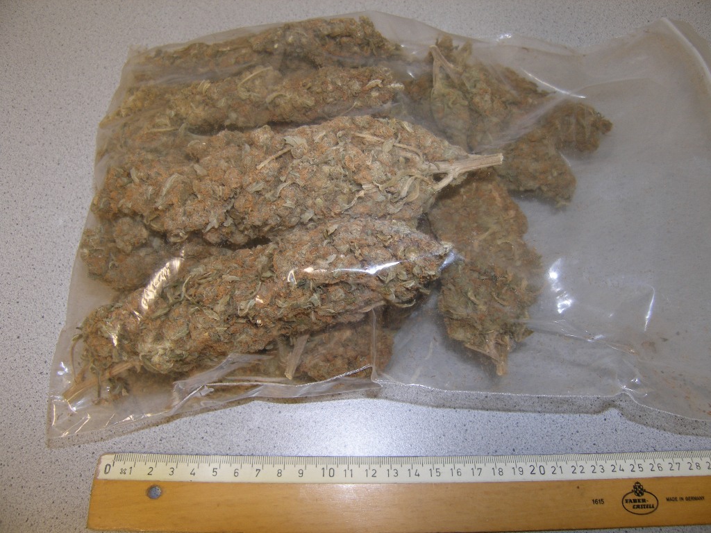 Marihuana Bild Polizei Oberpfalz