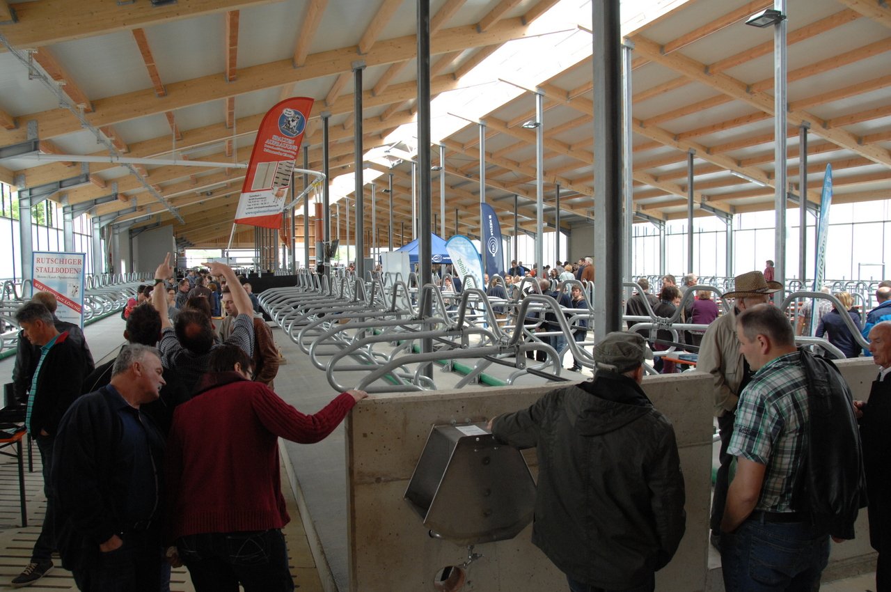 Milchviehstall 2