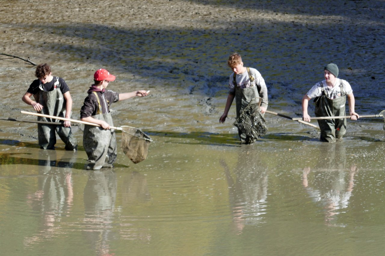 Vom Schulteich in die Pfanne: Das große Abfischen