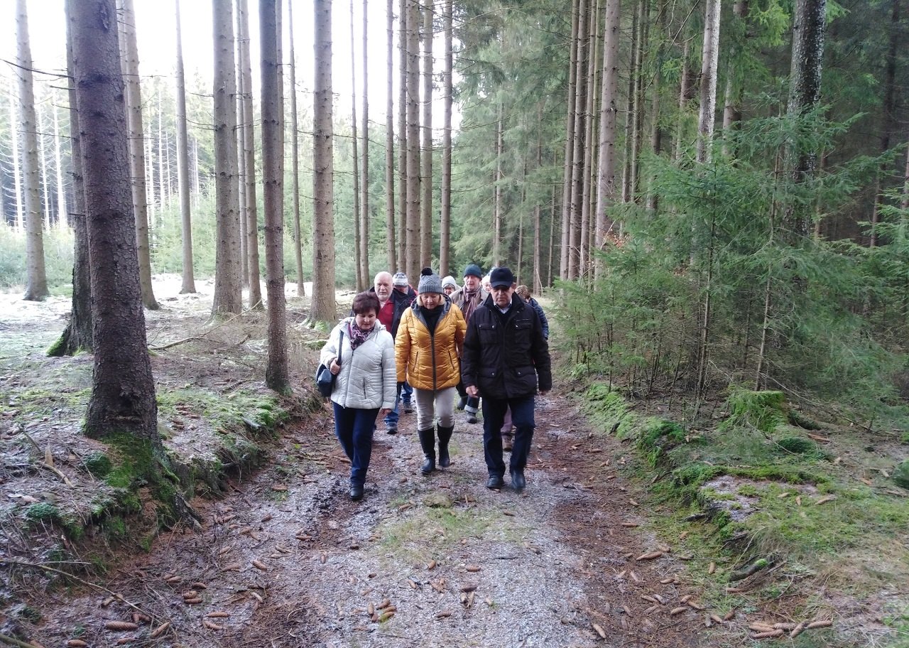 Moosbach_OWV_Wanderung_Waldweg_1