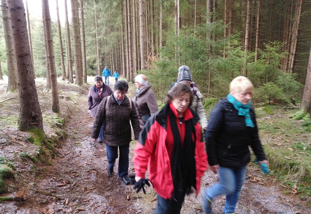 Moosbach_OWV_Wanderung_Waldweg_2