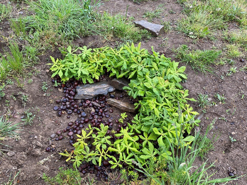 Naturgarten Letzau Kinder Projekt Beate Spickenreuther Martina Heimann2