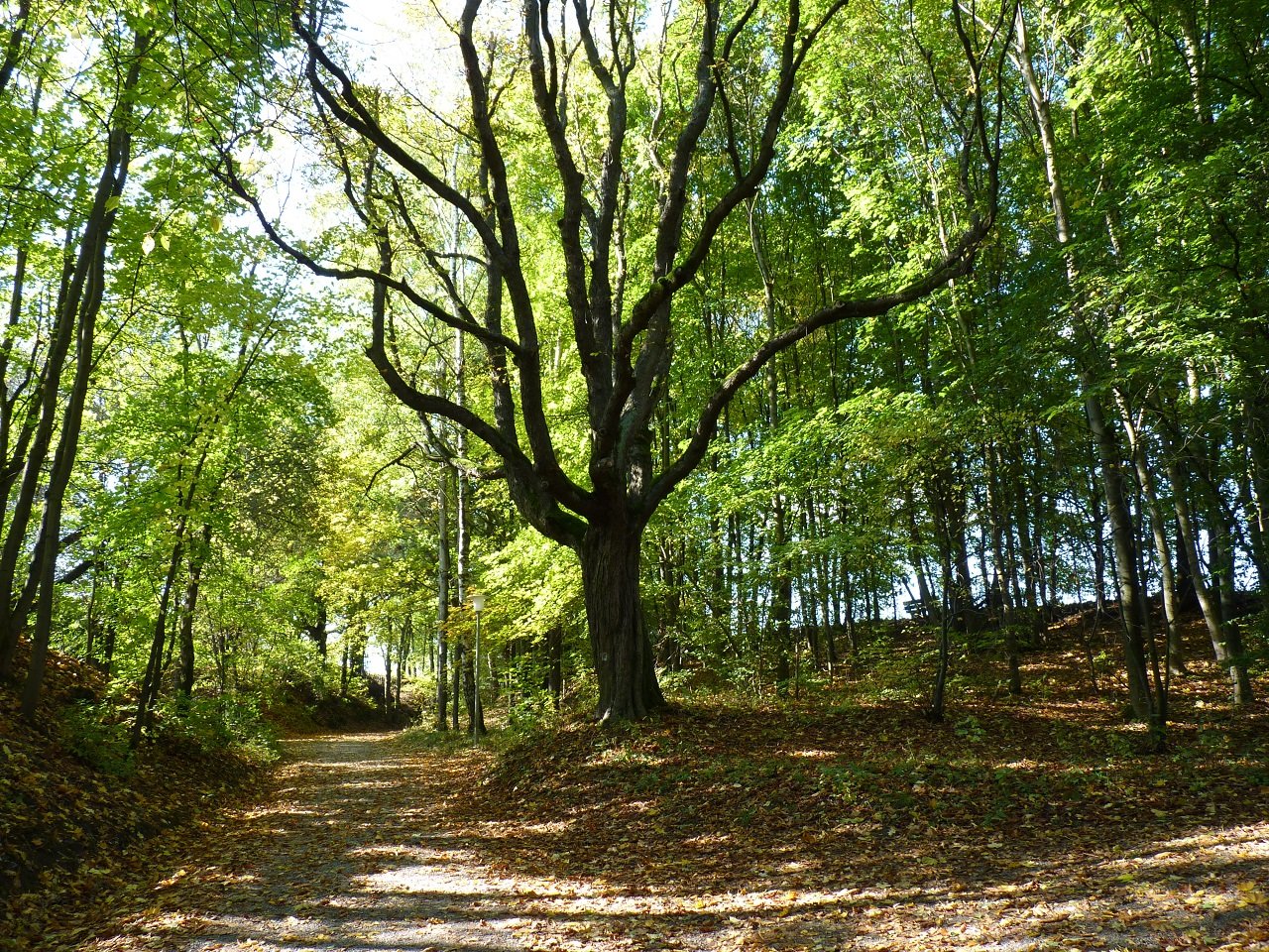 Naturidylle im Kurpark Gruberbachtal in Moosbach_Fotograf Claudia Rieß
