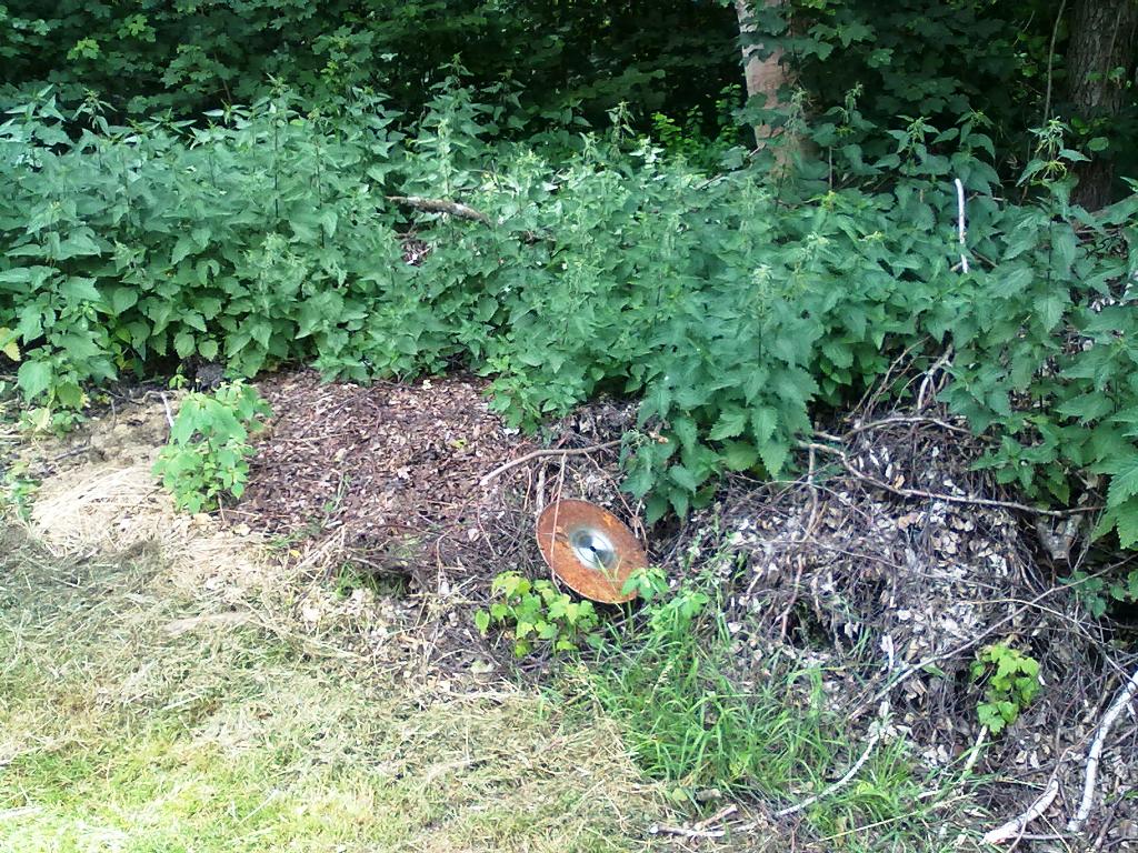 Neustadt_WN_Am_Hohlweg_Ablagerung_Sägeblatt