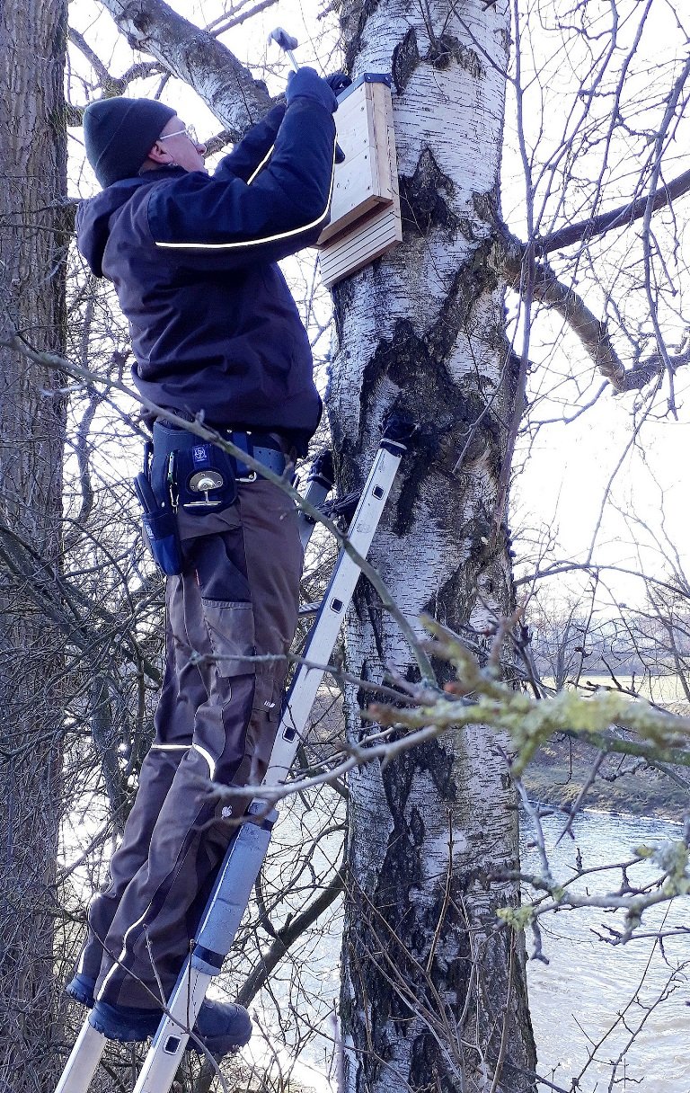 Nistkästen Naturschutz Fledermaus Brutkästen aufgehängt3