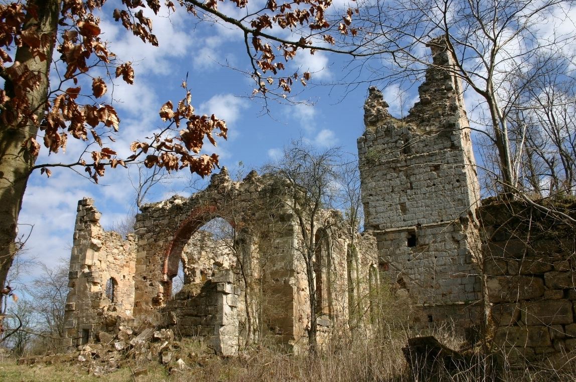 OE-mor-Ruine-Pappenberg Screenshot