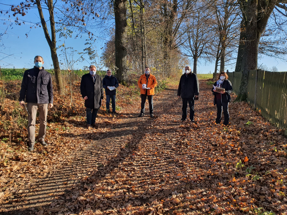 Charakter der Allee soll erhalten bleiben