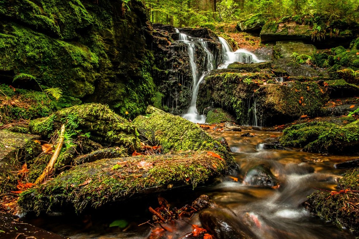 Tourismuszentrum Oberpfälzer Wald Natur Navi