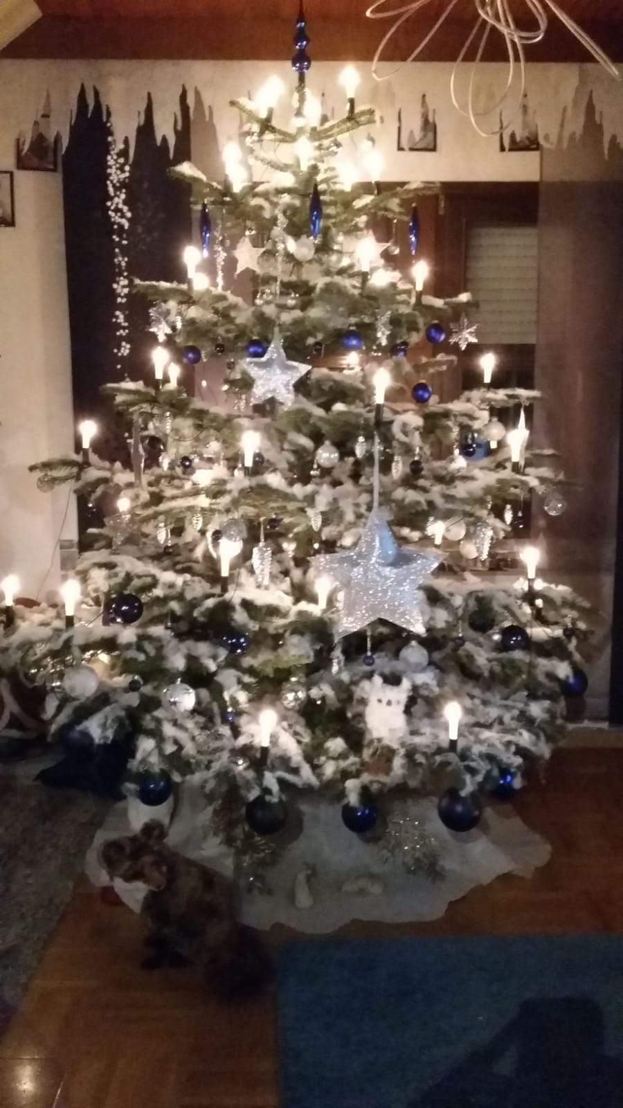 OberpfalzECHO Christbaumloben (9) Familie Brenner Vohenstrauß