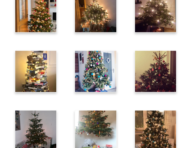 OberpfalzECHO Christbaumloben Titelbild