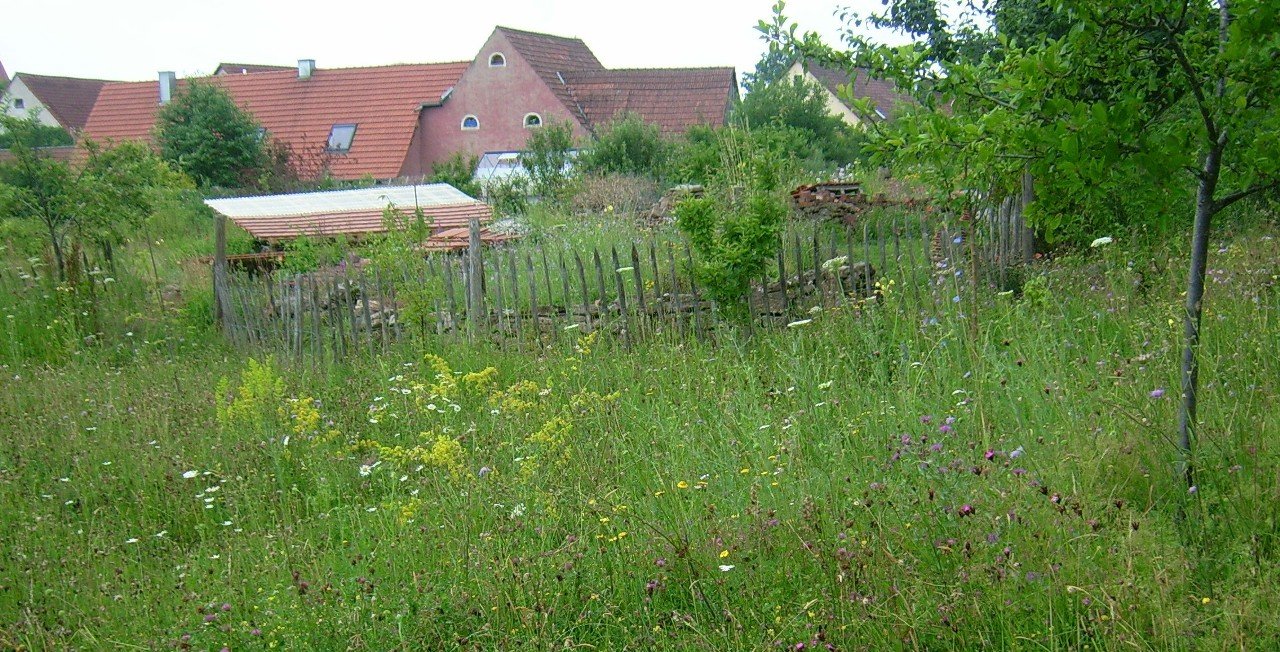 Obst- und Gartenbauverein Eschenbach Ausflug5