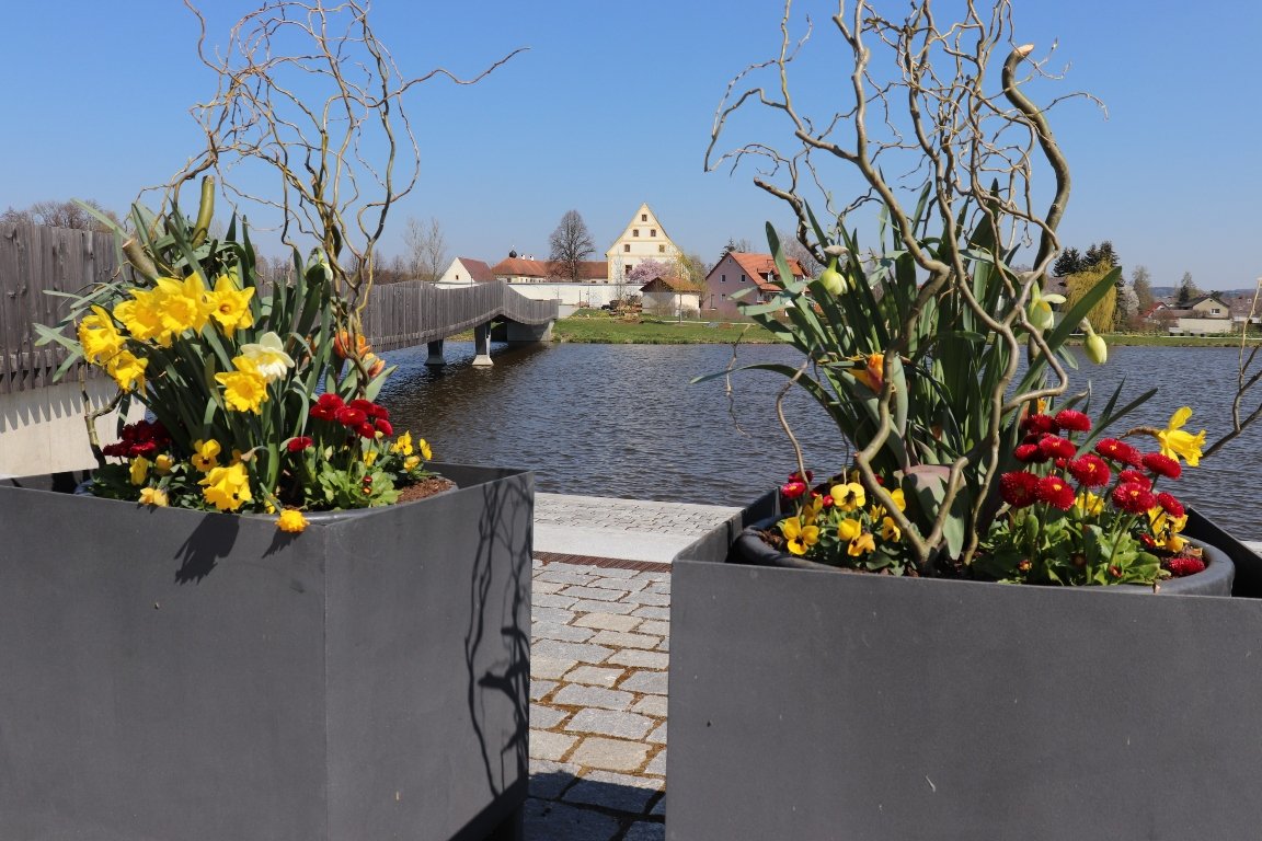 Osterhase Fischhofpark (1)