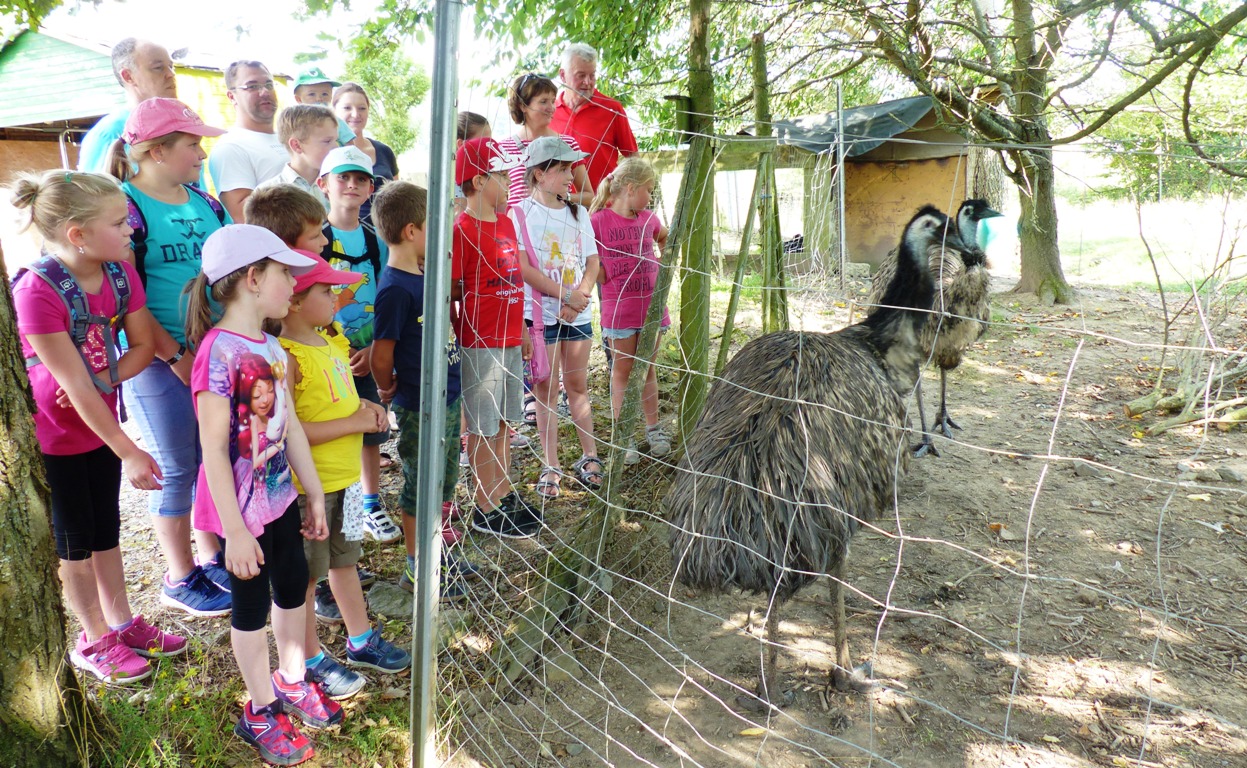 Ferienprogramm Leuchtenberg