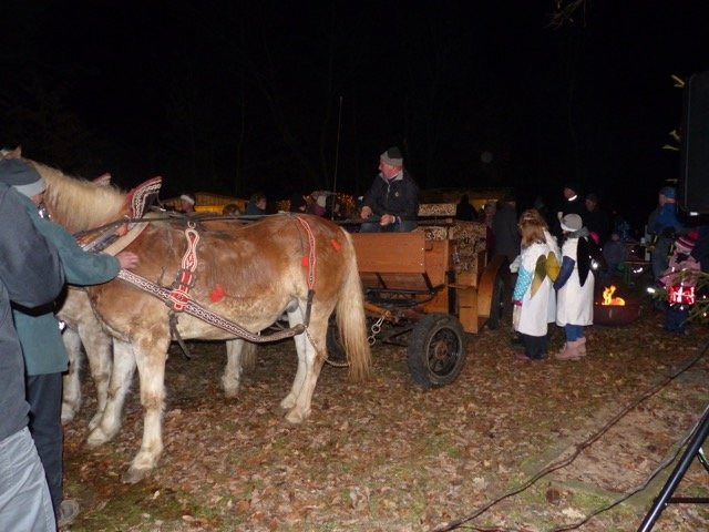 OWV Michldorf Irchenrieth Waldweihnacht