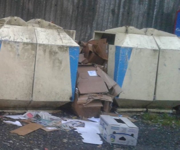 Papiercontainer leer Kartonagen daneben 2020 Landkreis NeustadtWN Bild Landratsamt NeustadtWN