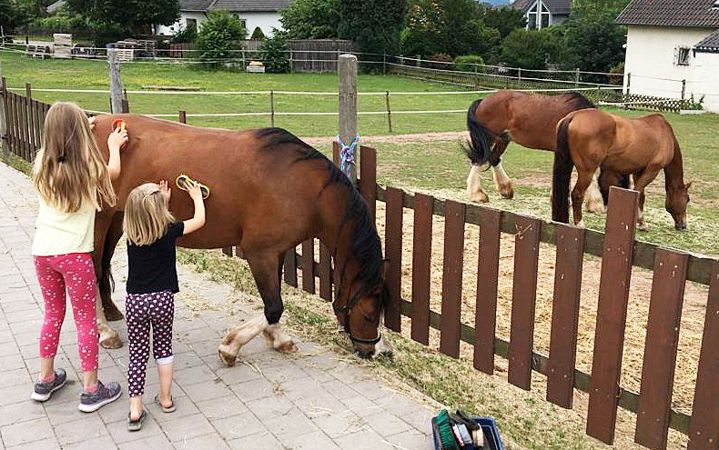 Pferdehelden Neudorf Pädagogik