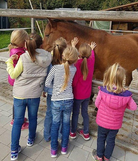 Pferdehelden Neudorf Pädagogik