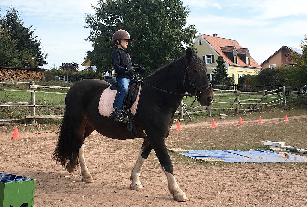 Pferdehelden Neudorf Pädagogik