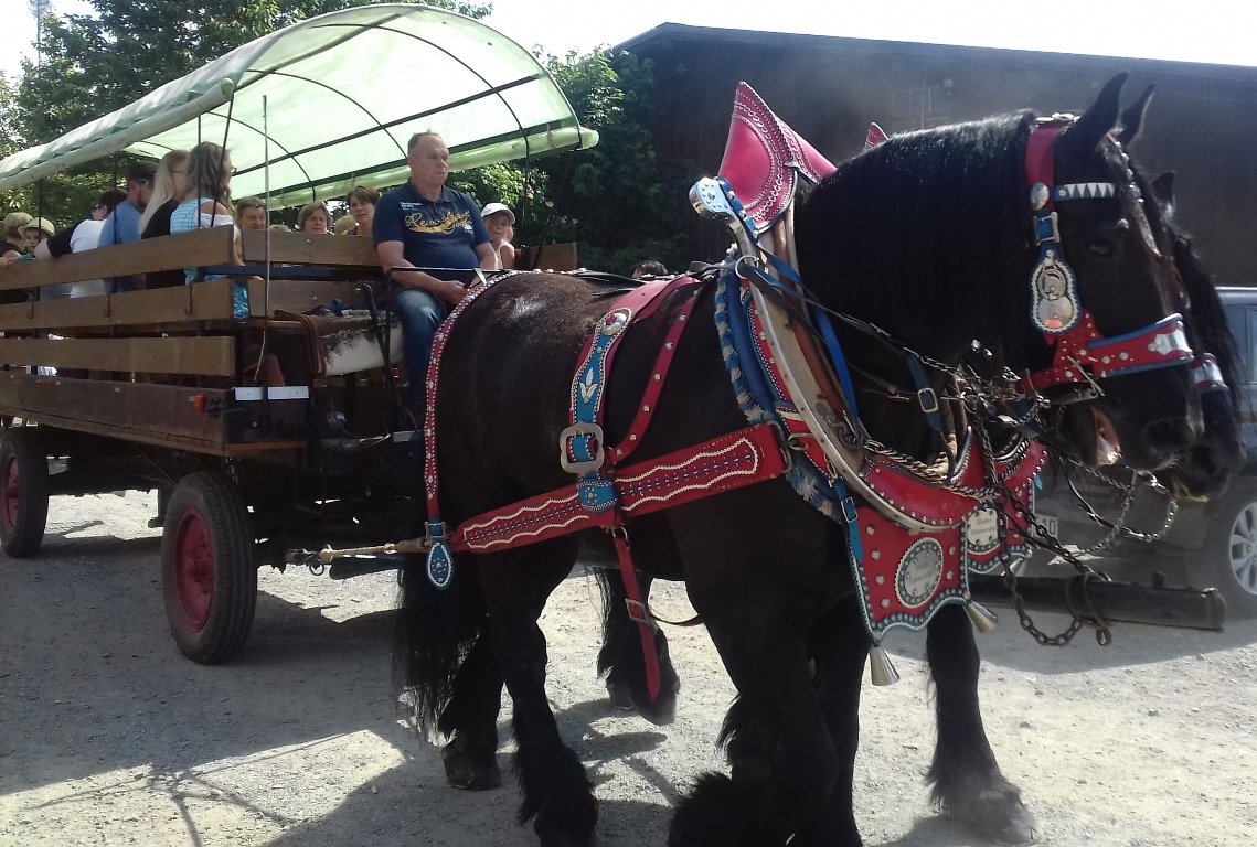 Pferdekutsche Fischerfest Reuth bei Erbendorf Fest Feier Jungfischer Bilder Angelsportverein Reuth