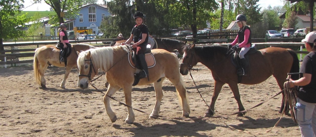 Reiterferien Koja Tirschenreuth Pferd Pferde Reiten Reithof (3)