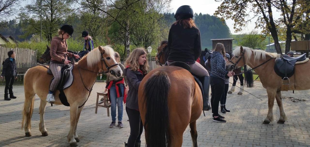 ReiterferienMädchen KoJa Kommunale Jugendarbeit Ferienprogramm 2018 Ferienfreizeit Abenteuer