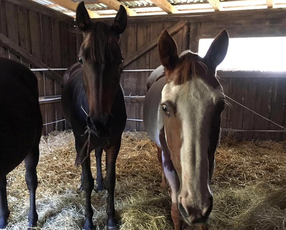 Retter in der Not Award - Foto Facebook