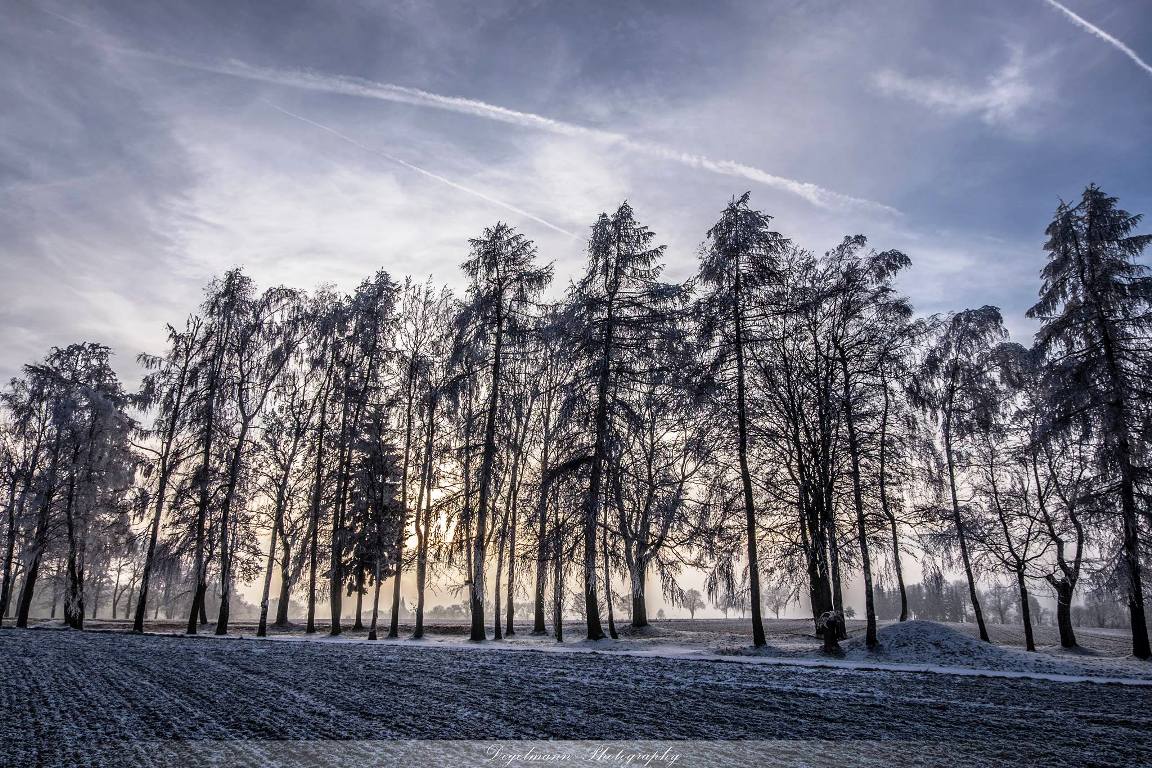 Schneebild, Vohenstrauß, Winter, Landschaft, Danny Degelmann
