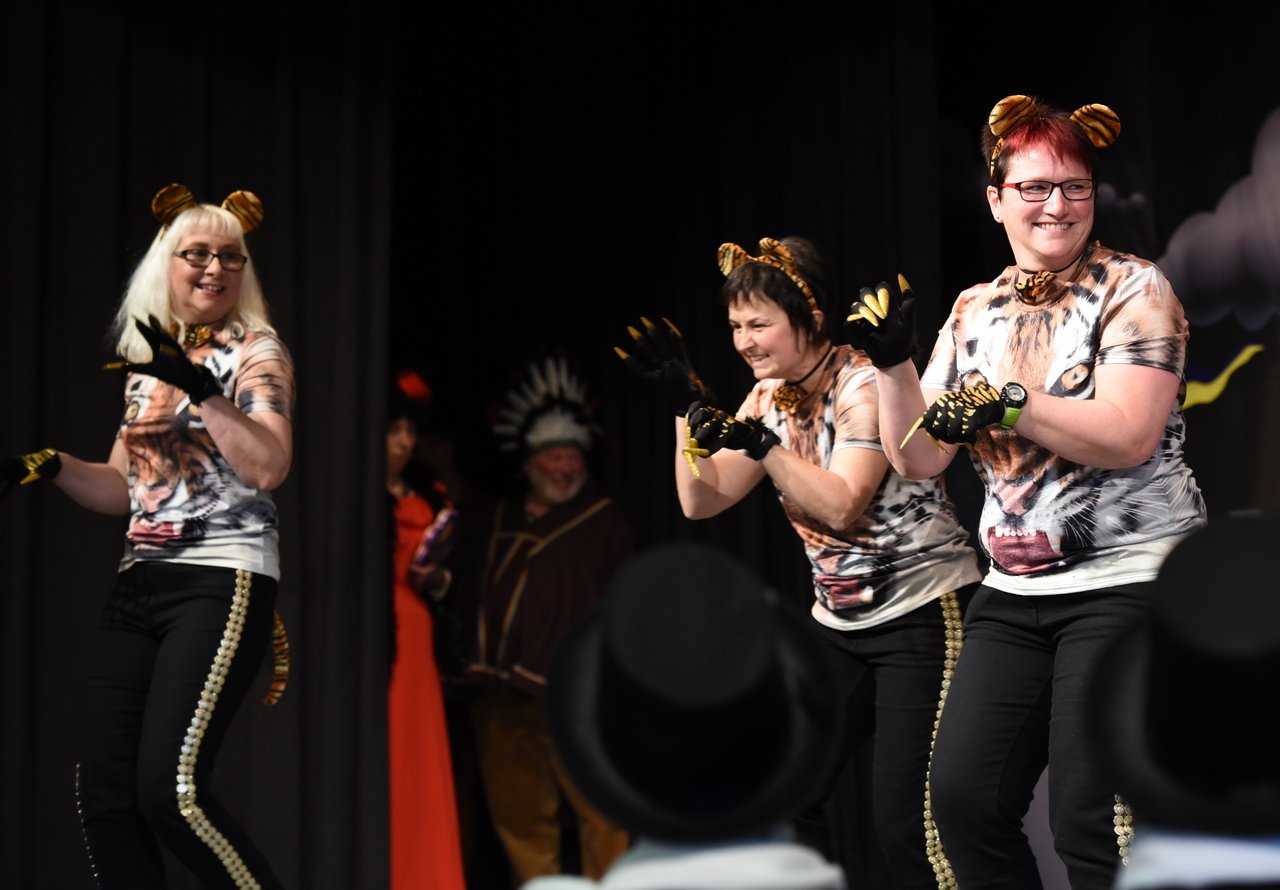 Seniorenfasching Neustadt 2017 12