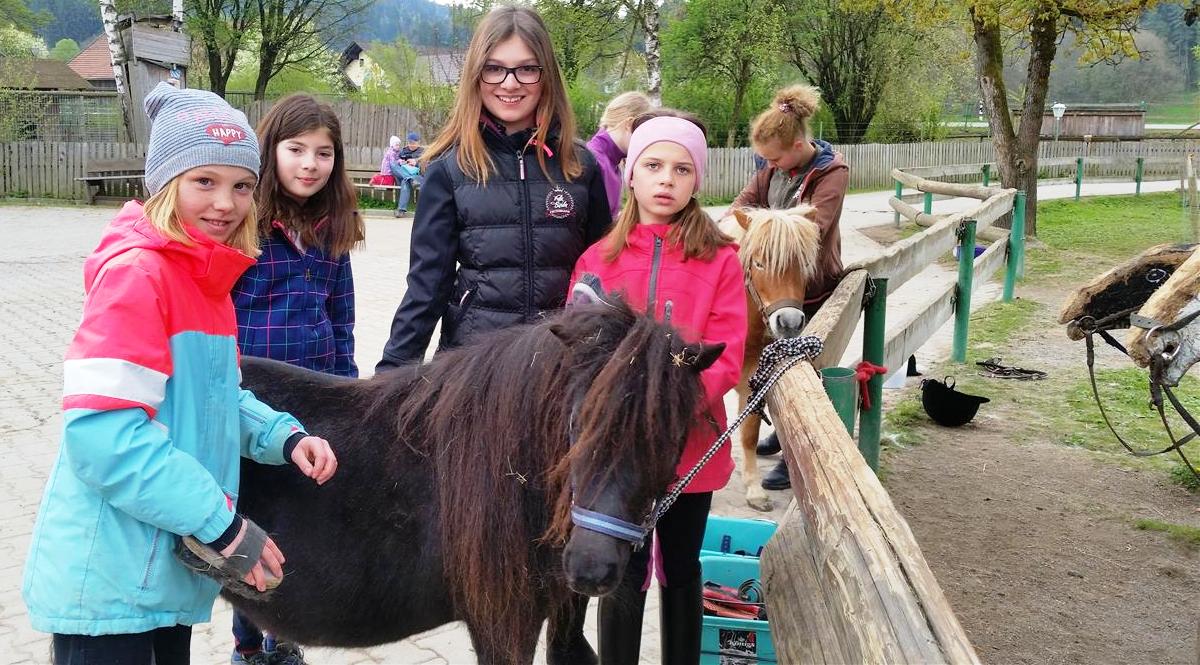 Ferienfreizeit Reiterferien