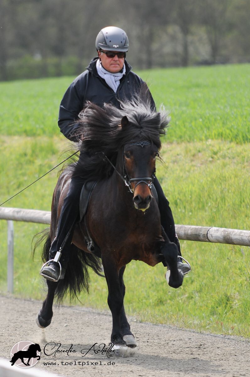 Spoliant vom Lipperthof geritten von Uli Reber Wurz DIM2017