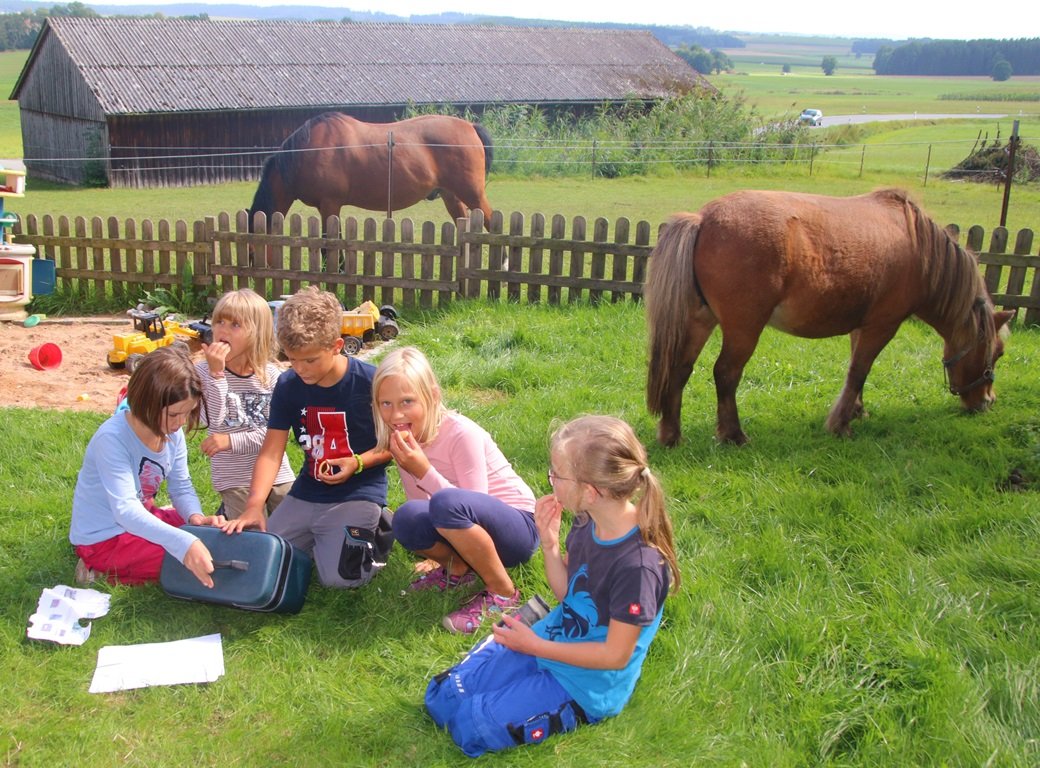 Spaß mit Bulldog, Puzzle und Pony Jack