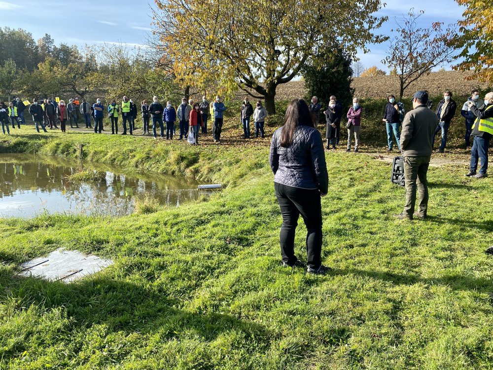 Südost Link Störnstein Bürgerinitiative