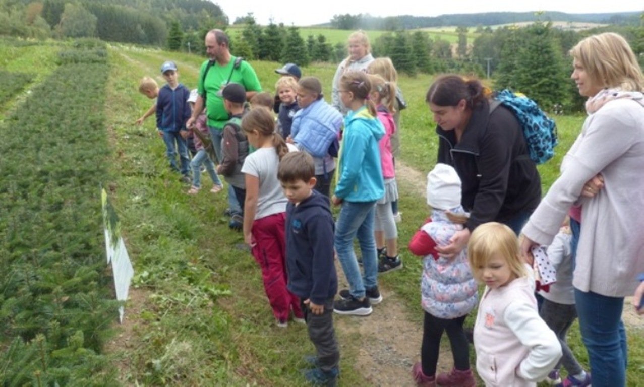 Tannenbäume Leuchtenberg Christbaumhof Kammerer