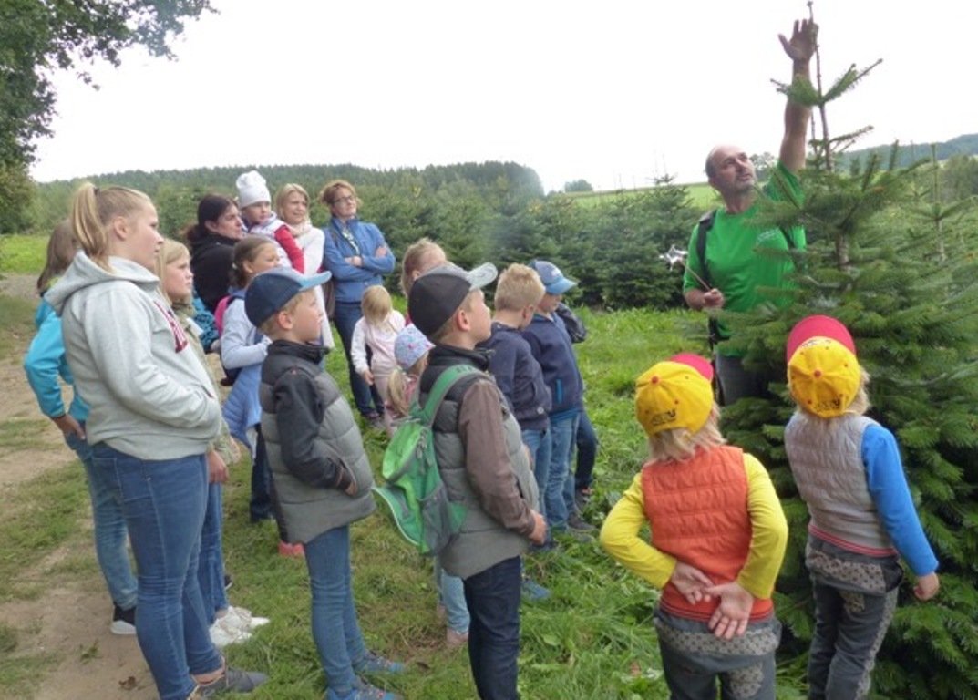 Staunen über Christbäume