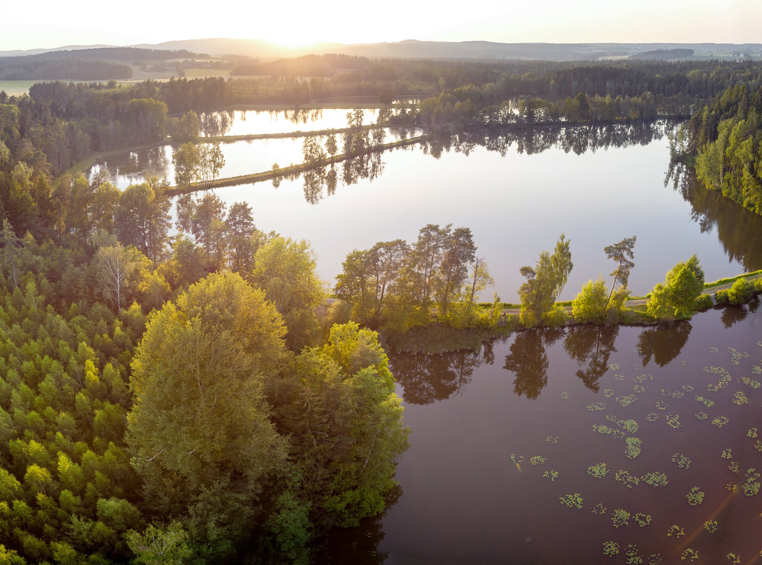 Land der 1.000 Teiche Fisch Veranstaltungen
